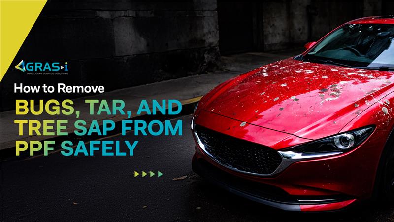 How to Remove Bugs, Tar, and Tree Sap from PPF Safely